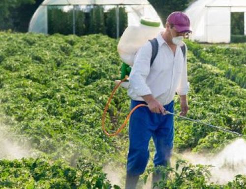 Predavanje za dopunsku izobrazbu o održivoj uporabi pesticida, utorak, 3. lipnja 2025. u 9 sati