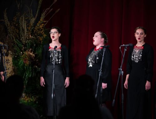 HARMONIJA DISONANCE – Koncert tradicijskih napjeva, srijeda, 15.4. 2026. u 19 sati